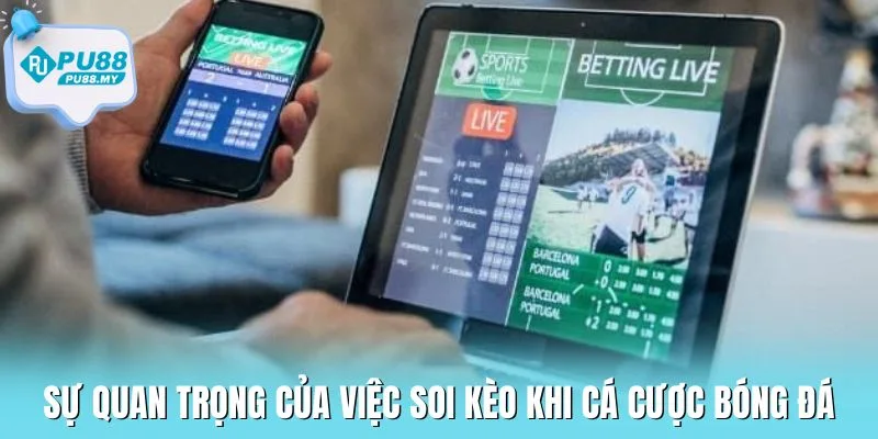 cach-soi-keo-bong-Pu88-su-quan-trong