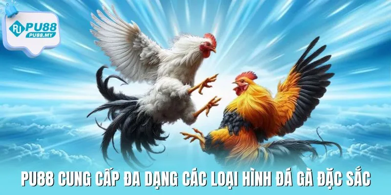 da-ga-PU88-loai-hinh