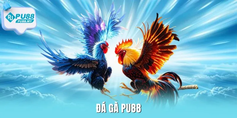 da-ga-PU88-thumb (1)