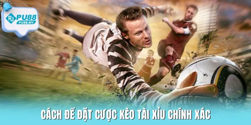 keo-tai-xiu-PU88-dat-cuoc