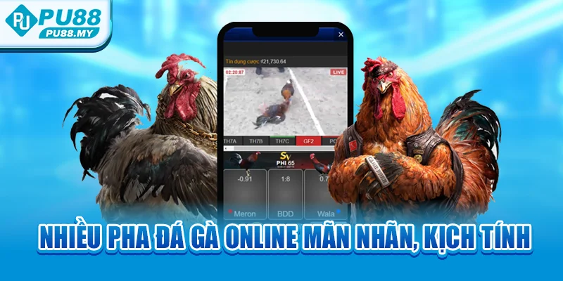 -nhieu-pha-da-ga-online-man-nhan-kich-tinh