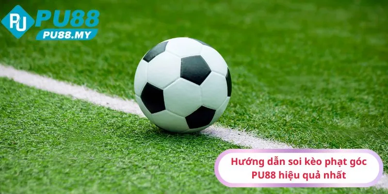 Huong-dan-soi-keo-phat-goc-PU88-hieu-qua-nhat