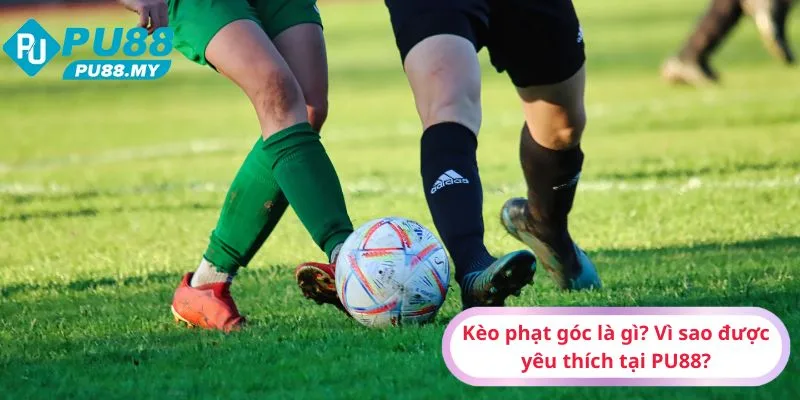 Keo-phat-goc-la-gi-Vi-sao-duoc-yeu-thich-tai-PU88