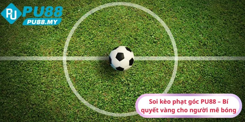 Soi-keo-phat-goc-PU88-Bi-quyet-vang-cho-nguoi-me-bong